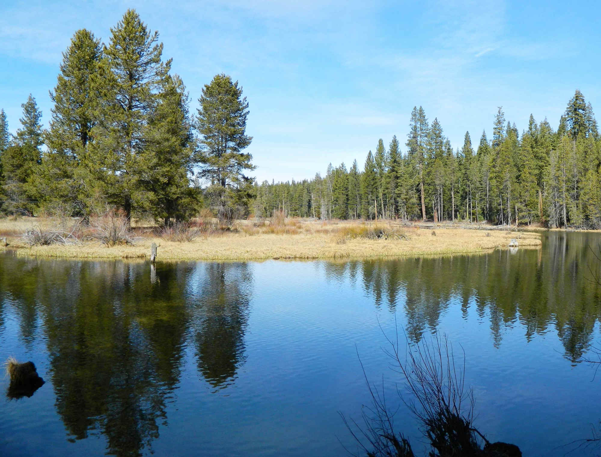 View of Clear Creek Pond