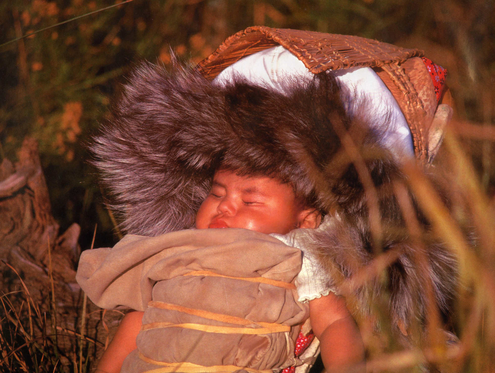 Sleeping baby in traditional native garb